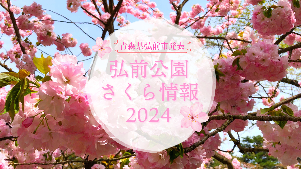 2024年4月28日発表「弘前公園さくら情報」（青森県弘前市） - 弘前