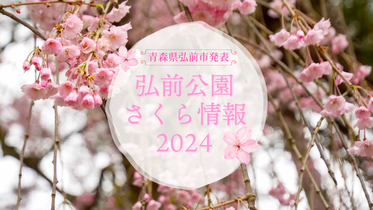 2024年4月23日発表「弘前公園さくら情報」(青森県弘前市) - 弘前さくらまつり-Hirosaki Cherry Blossom Festival