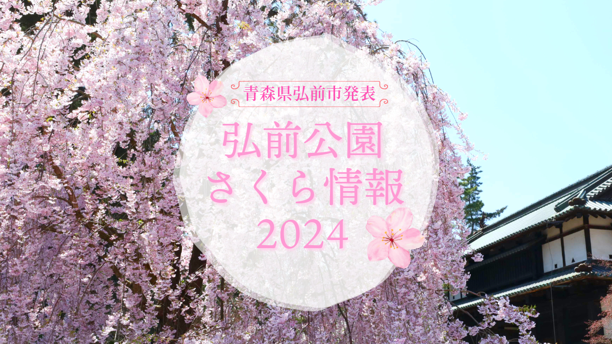2024年4月24日発表「弘前公園さくら情報」(青森県弘前市) - 弘前さくらまつり-Hirosaki Cherry Blossom Festival