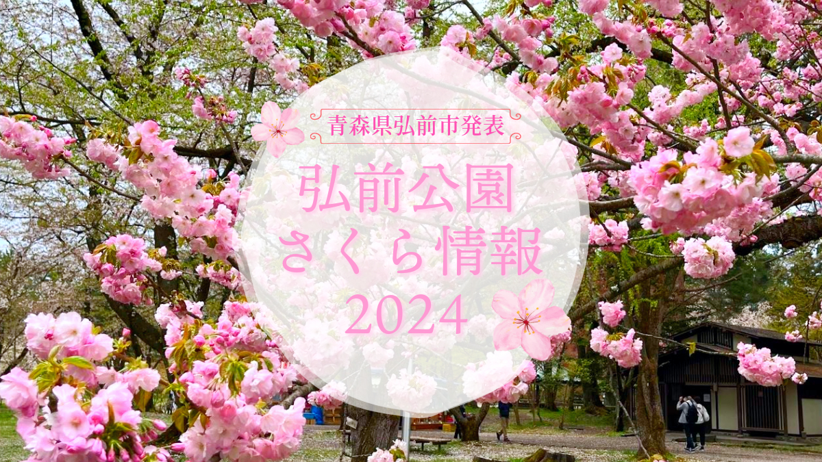 2024年4月26日発表「弘前公園さくら情報」(青森県弘前市) - 弘前さくらまつり-Hirosaki Cherry Blossom Festival