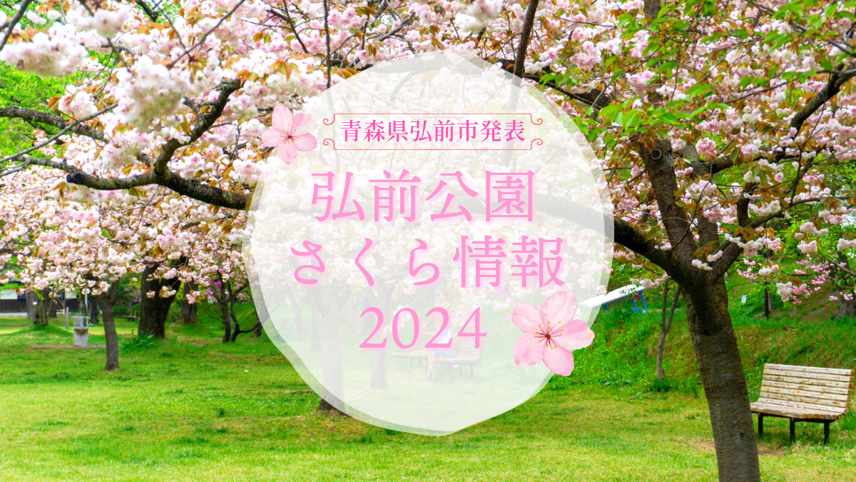 2024年5月5日発表「弘前公園さくら情報」（青森県弘前市） - 弘前