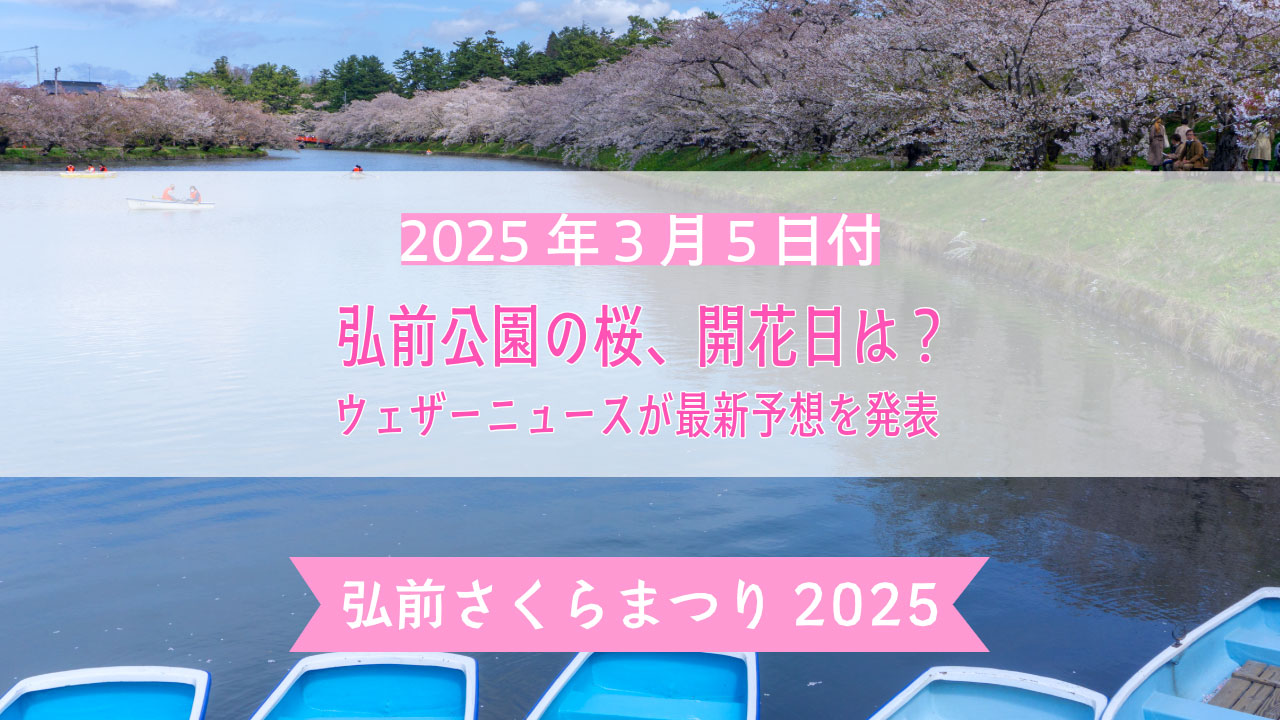 sakurainfo2025-4.jpg