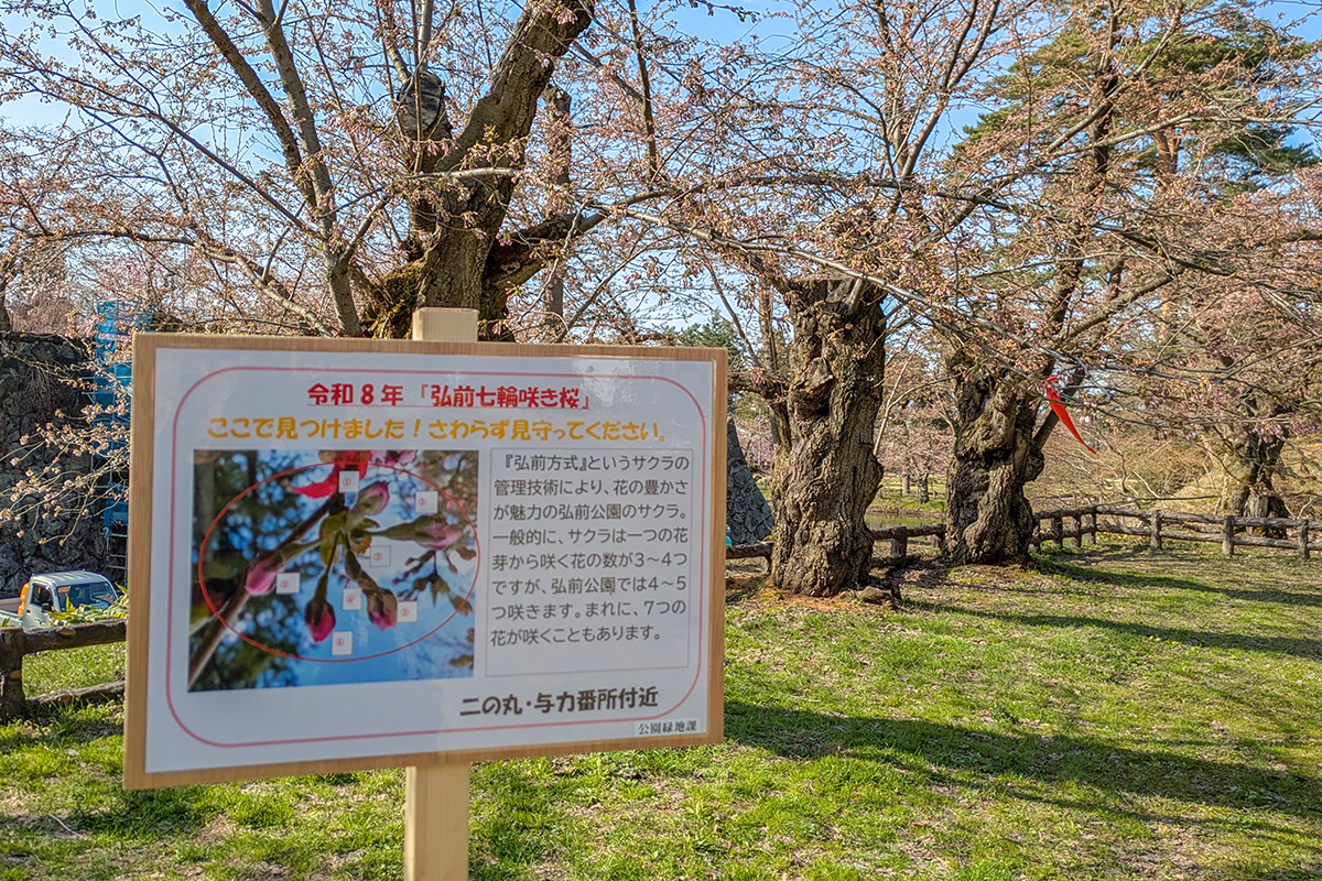 七輪咲きを知らせる看板