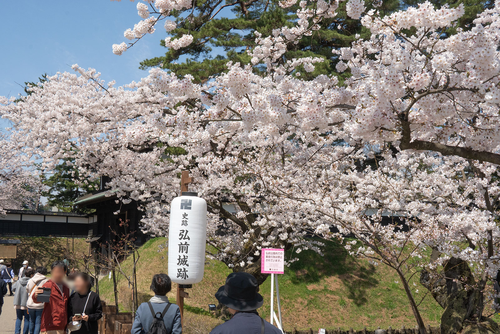 2025年4月22日、弘前公園外濠追手門口