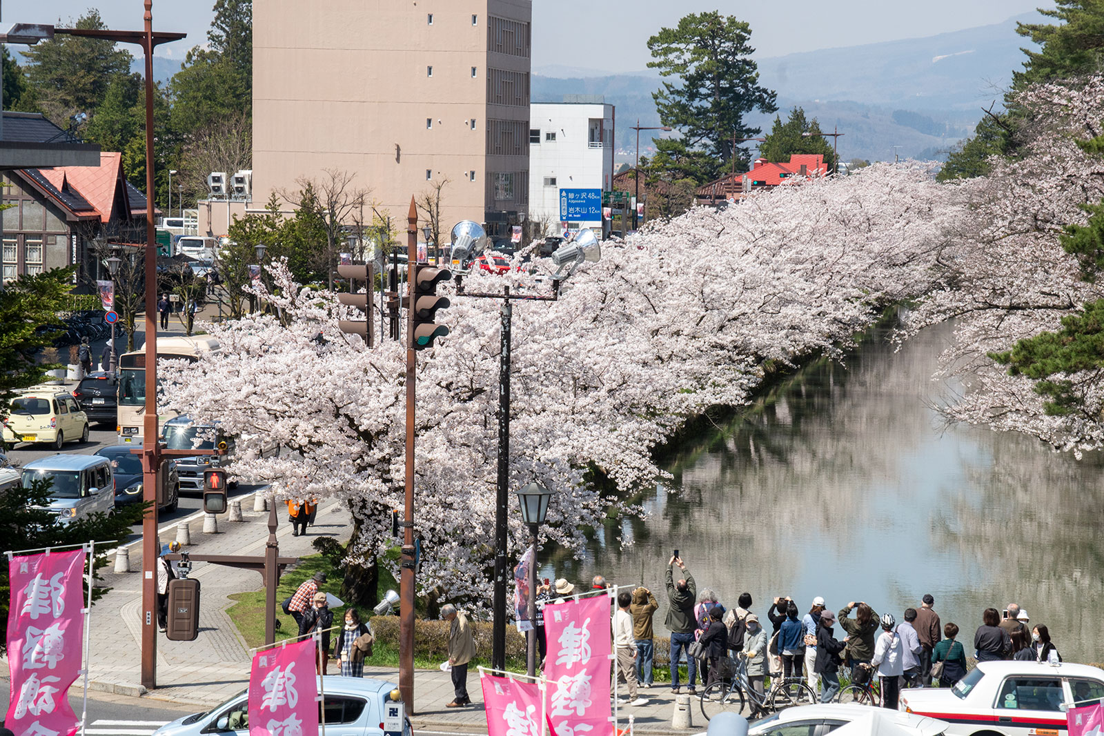 2025年4月22日、弘前公園外濠南側（弘前市立観光館展望デッキから）