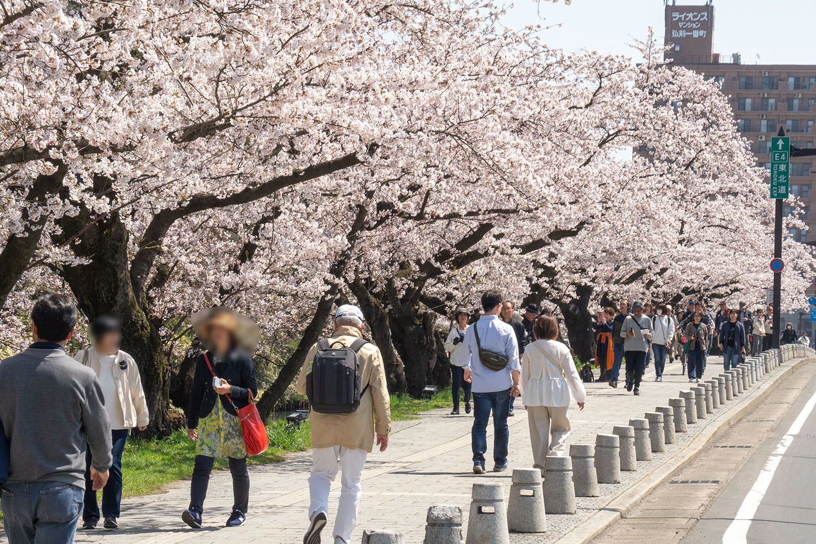 2025年4月22日、弘前公園外濠追手門口から東方向