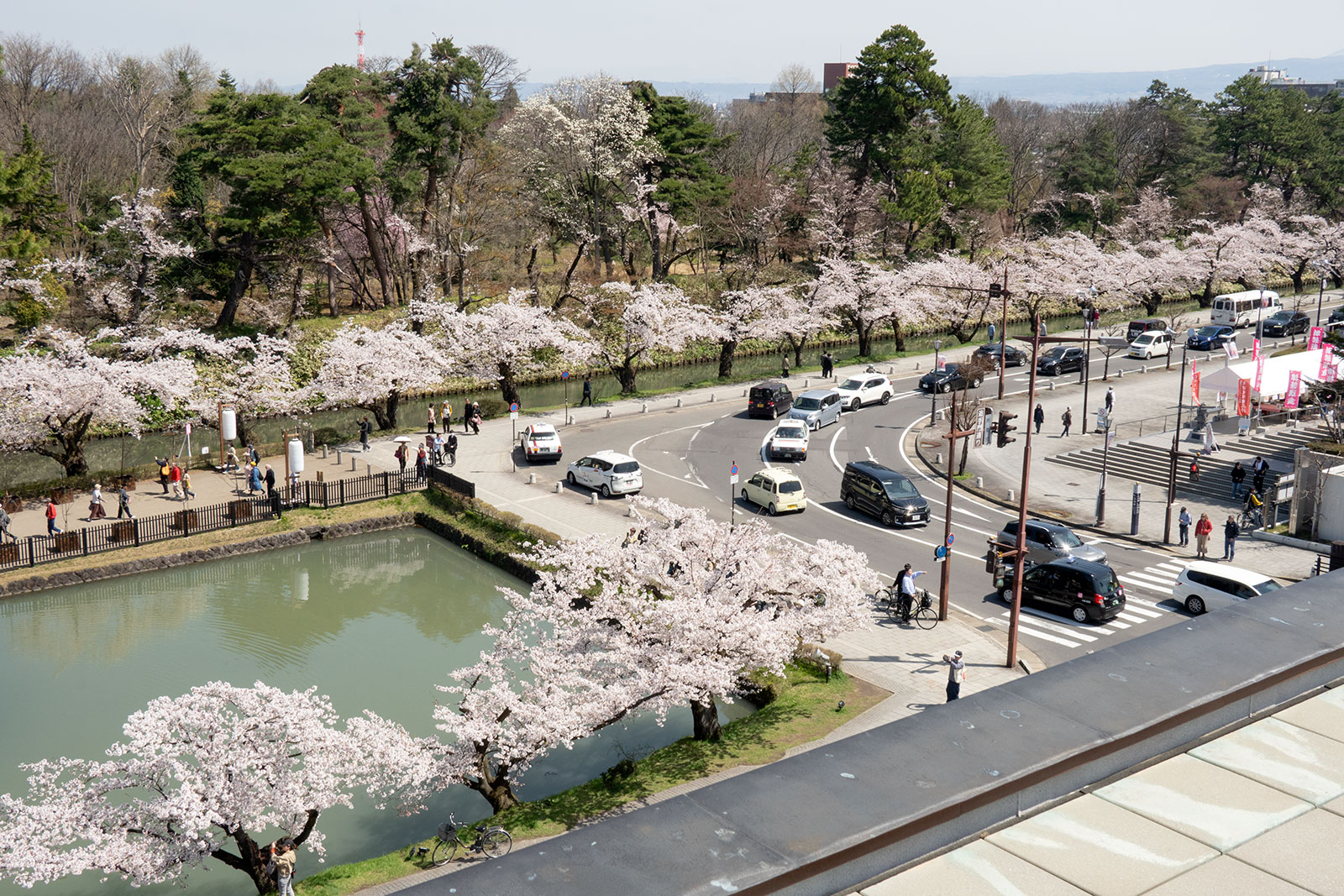 2025年4月22日、弘前公園外濠南側（市役所展望デッキから）