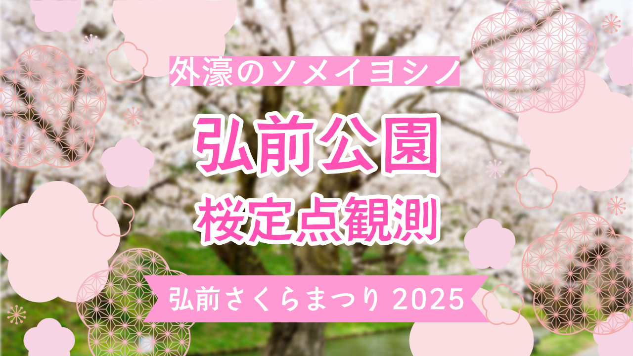 infosakura2025-13-teiten.jpeg