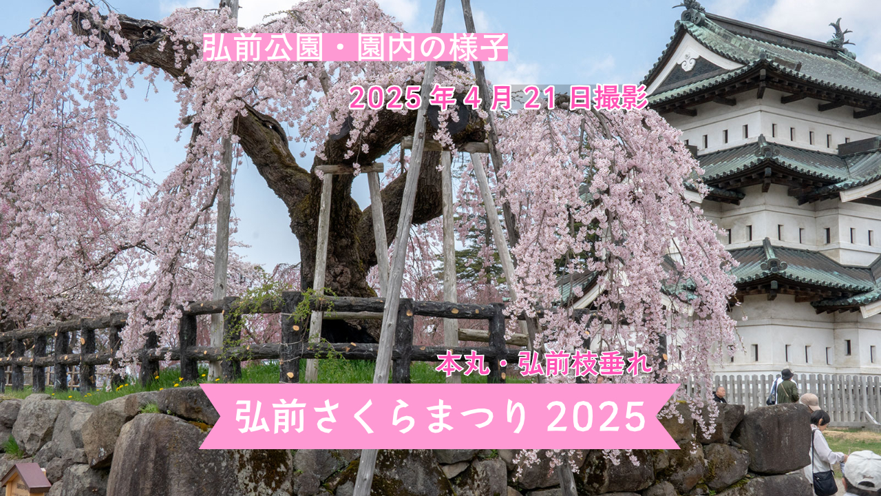 infosakura2025-43.jpeg