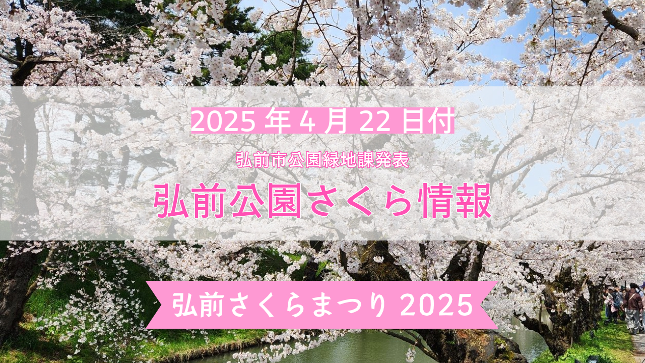 弘前公園さくら情報【2025年4月22日】最新の開花情報・見頃を迎える桜