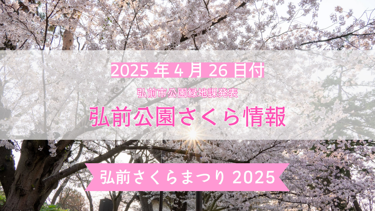 弘前公園さくら情報【2025年4月26日】最新の開花情報・見頃を迎える桜