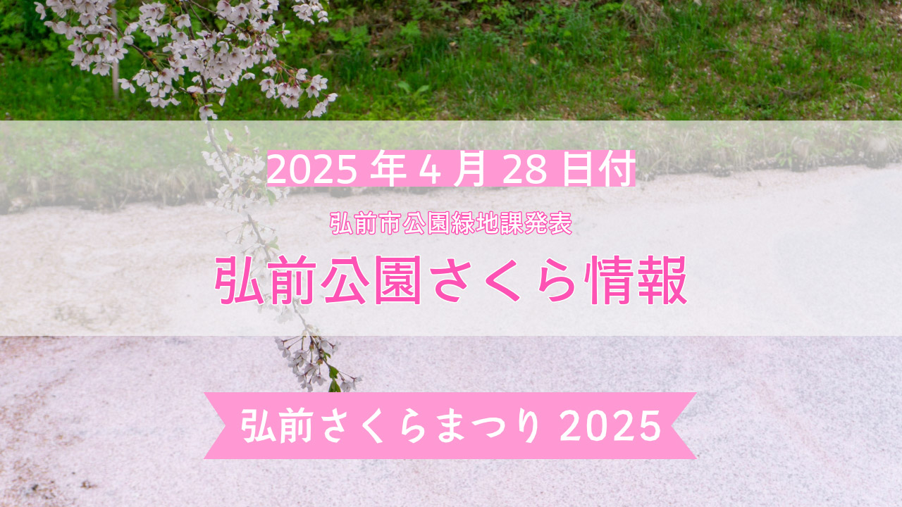 弘前公園さくら情報【2025年4月28日】最新の開花情報・見頃を迎える桜