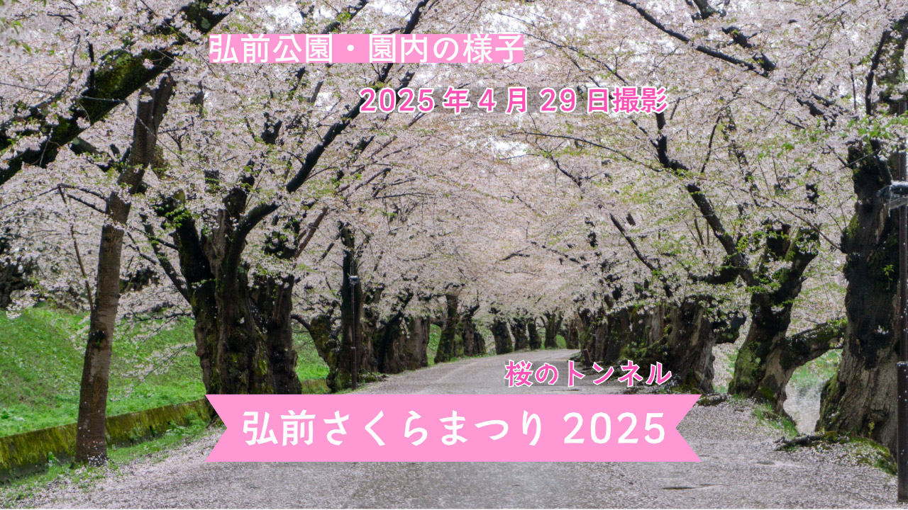 infosakura2025-70.jpg