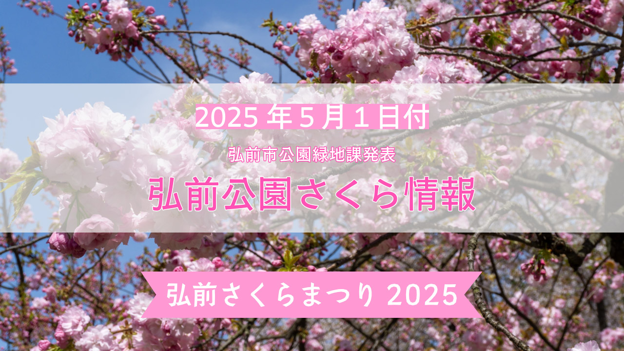 弘前公園さくら情報【2025年5月1日】最新の開花情報・見頃を迎える桜たち - 弘前さくらまつり-Hirosaki Cherry ...