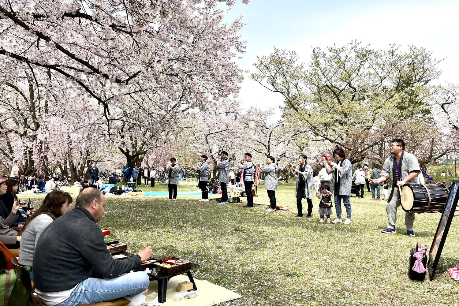 手ぶらで観桜会