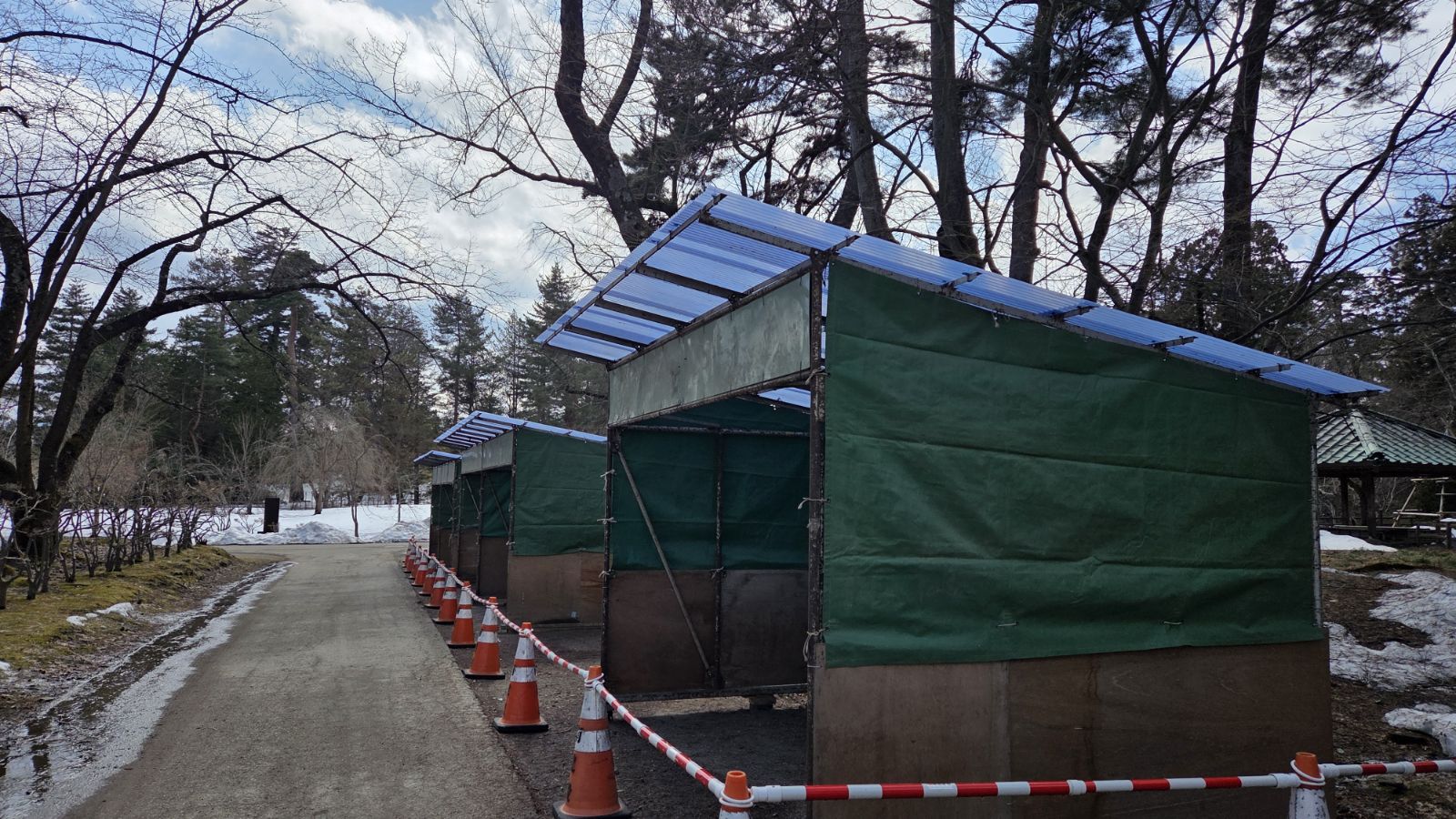 【3月19日撮影】本日の弘前公園の様子