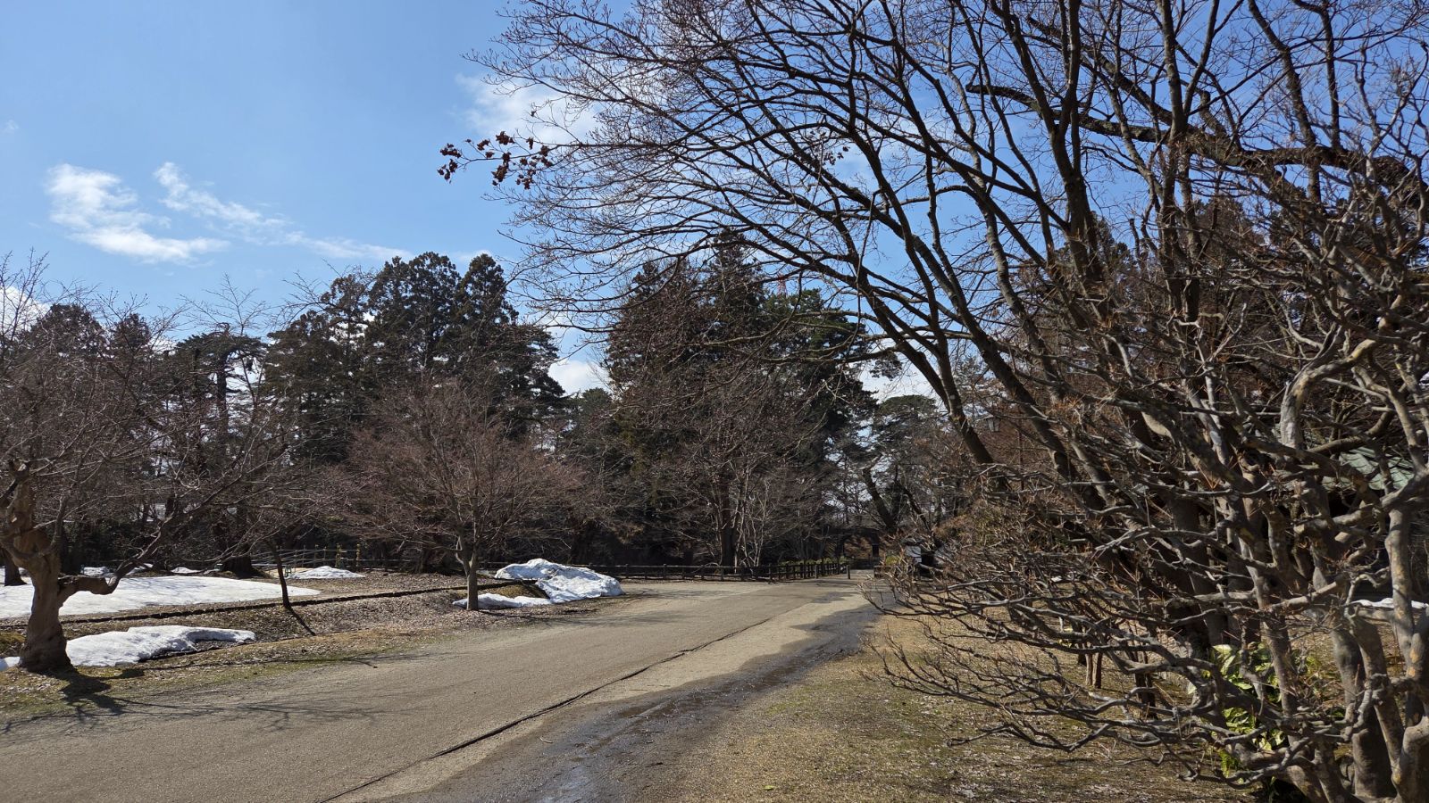 【3月27日撮影】本日の弘前公園の様子