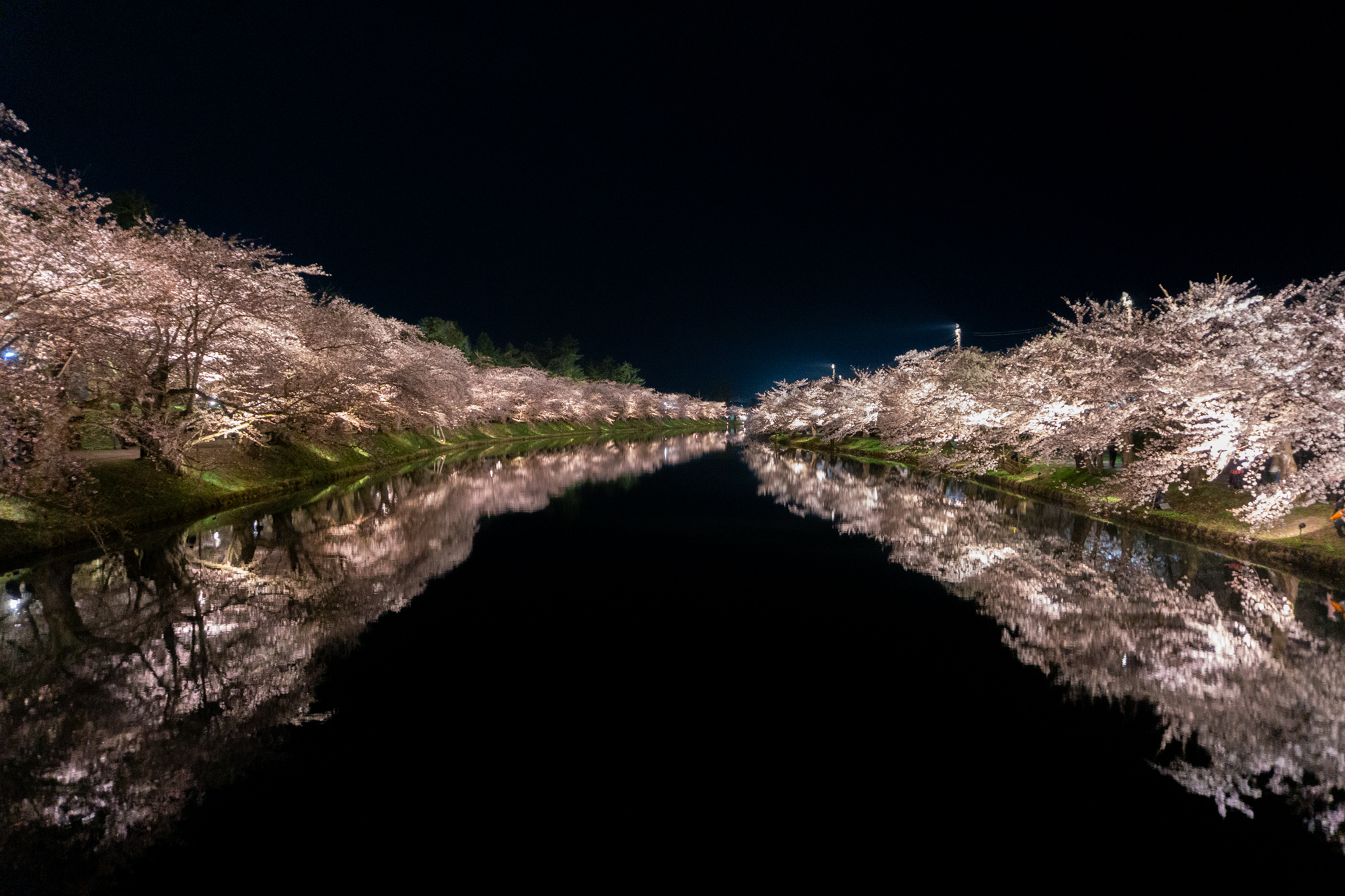 弘前公園西濠、2026年4月15日撮影