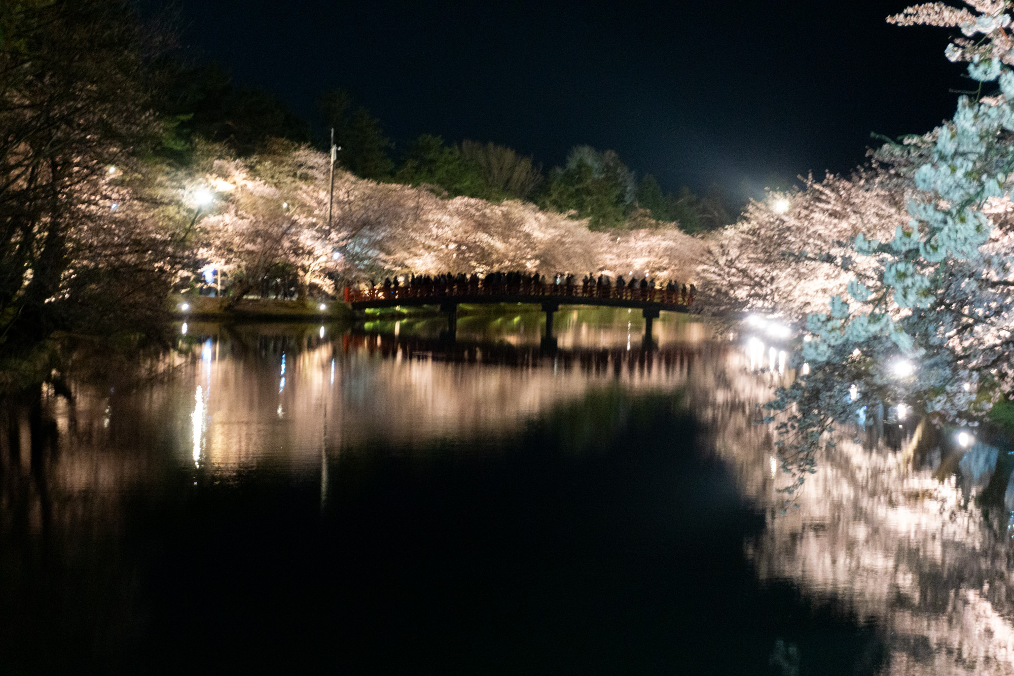 弘前公園春陽橋、2026年4月15日撮影