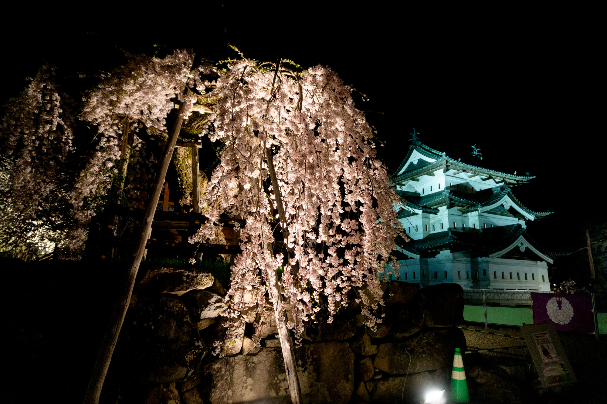 弘前公園本丸、2026年4月15日撮影