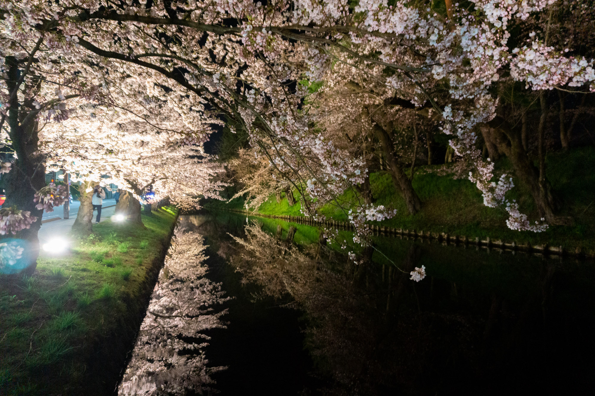 弘前公園外濠、2026年4月15日撮影