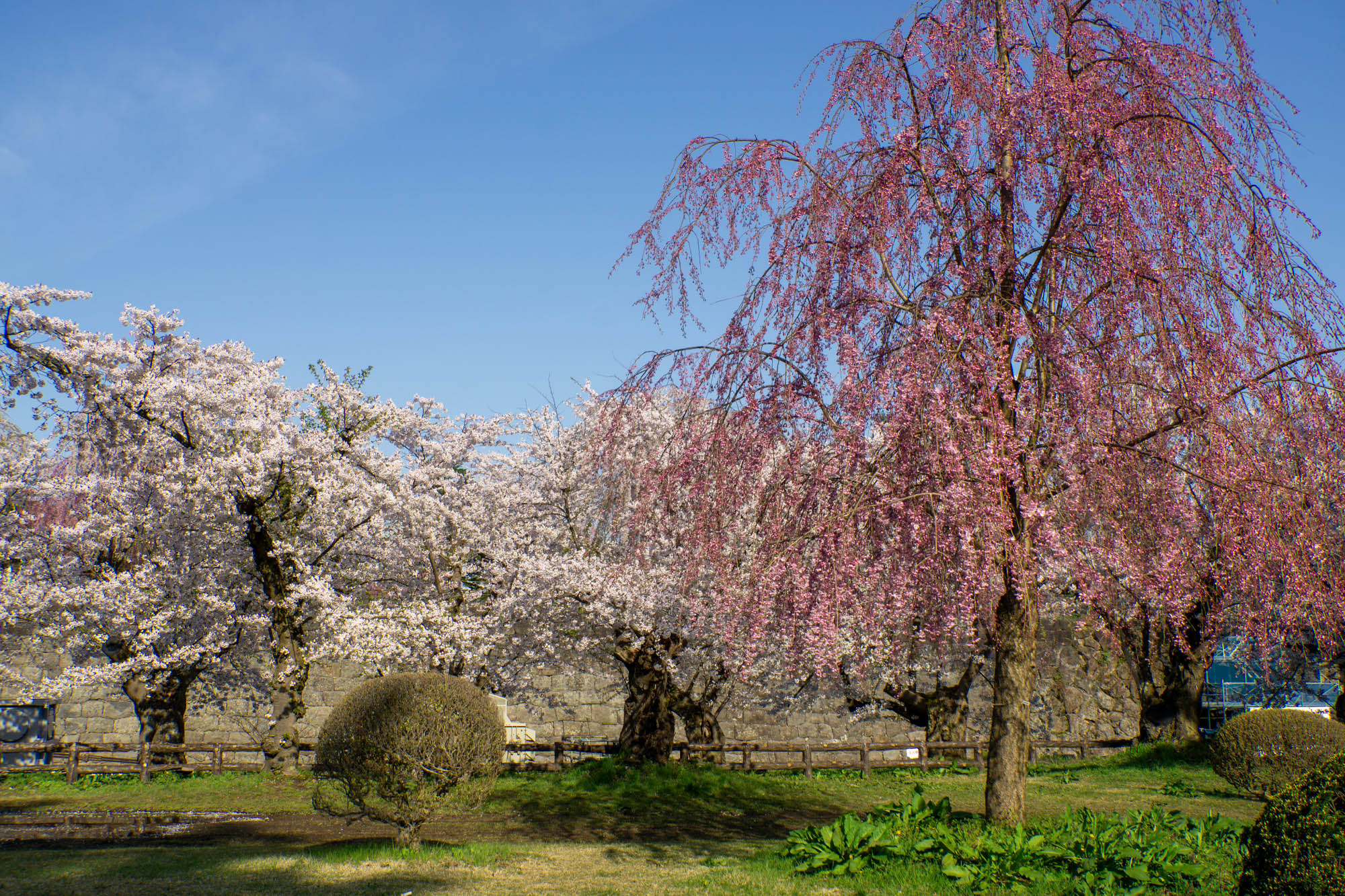 2026年4月19日、二の丸