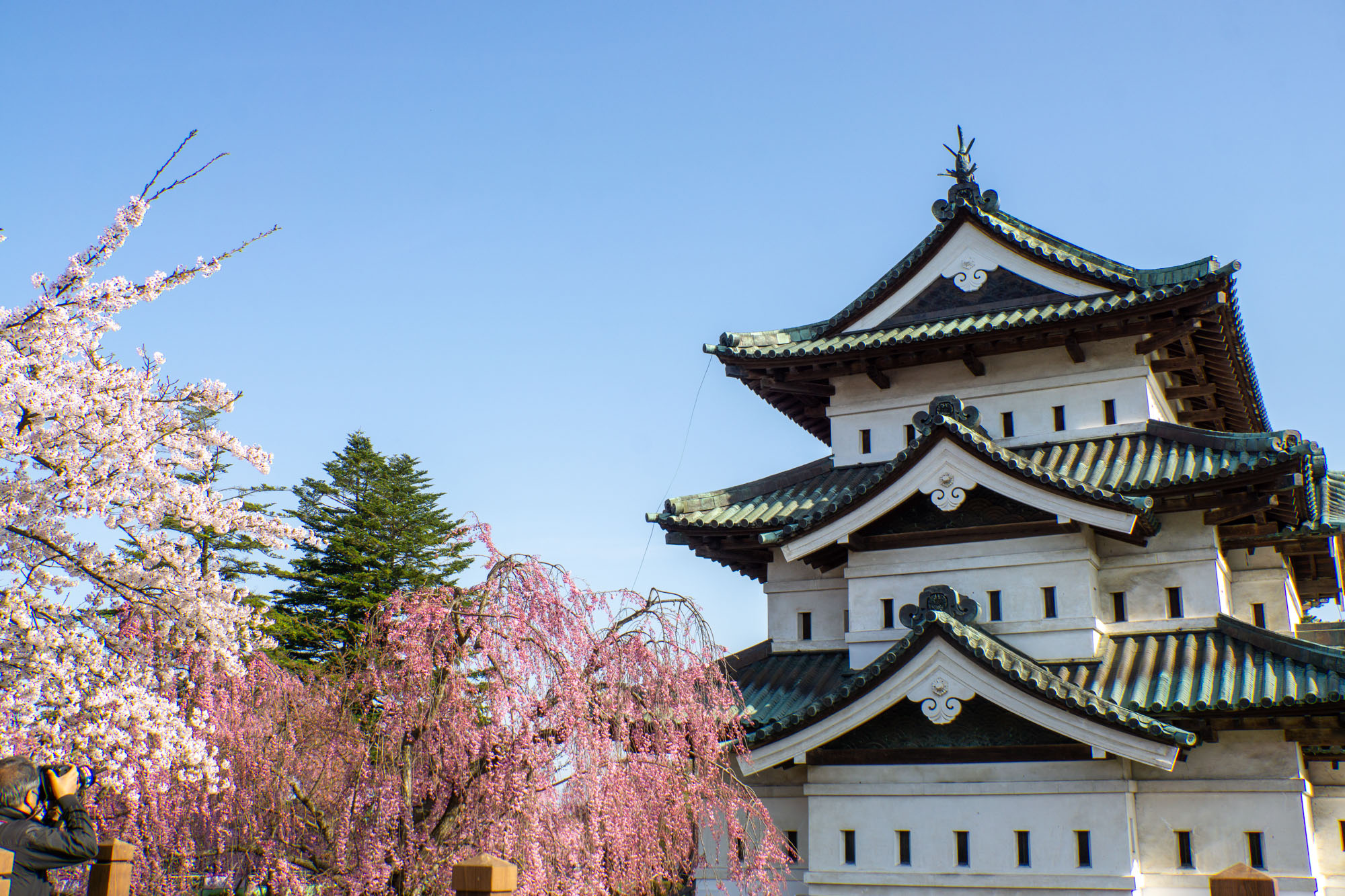 2026年4月19日、本丸　弘前城天守