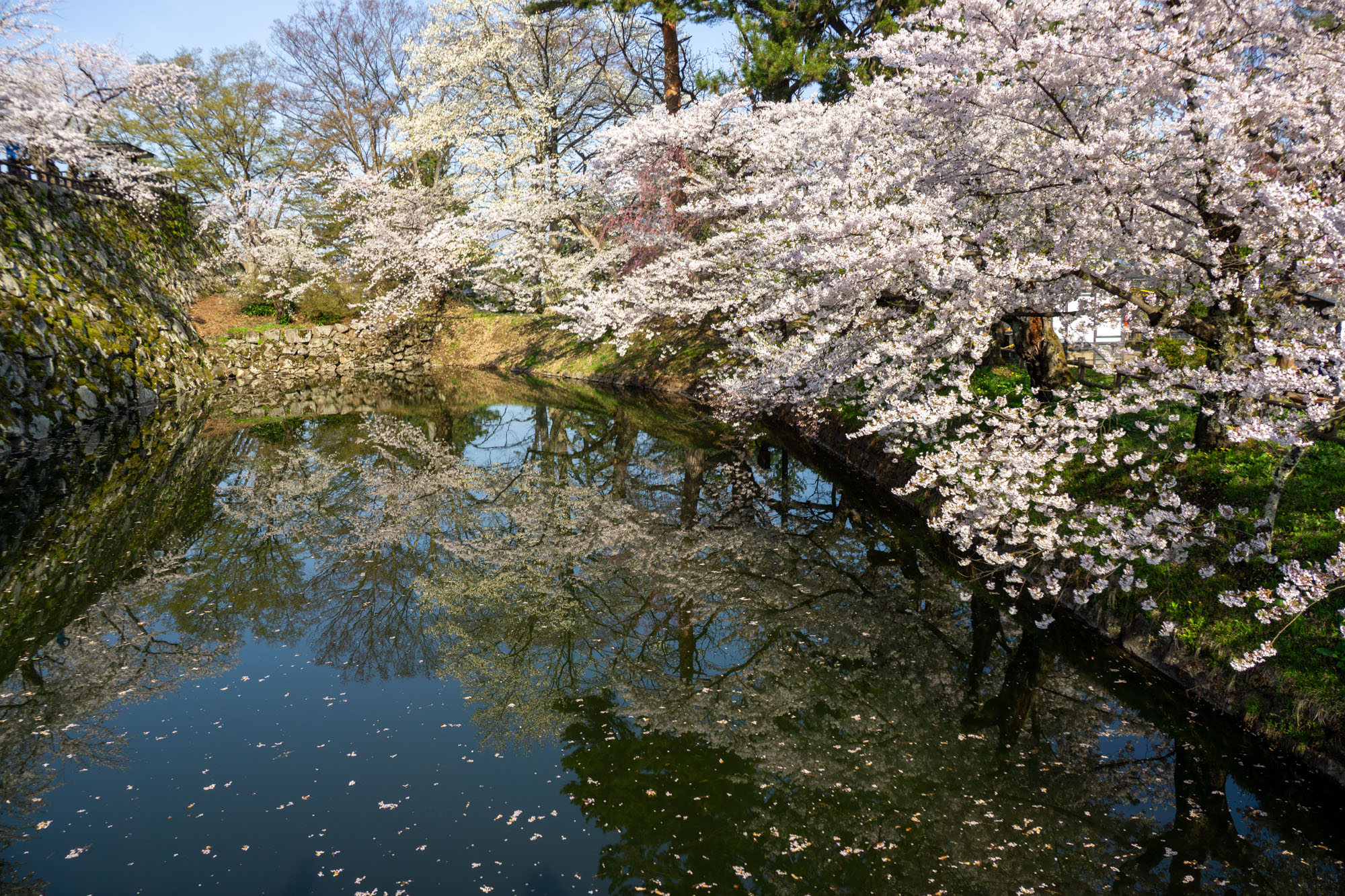 2026年4月19日、北の郭　内濠