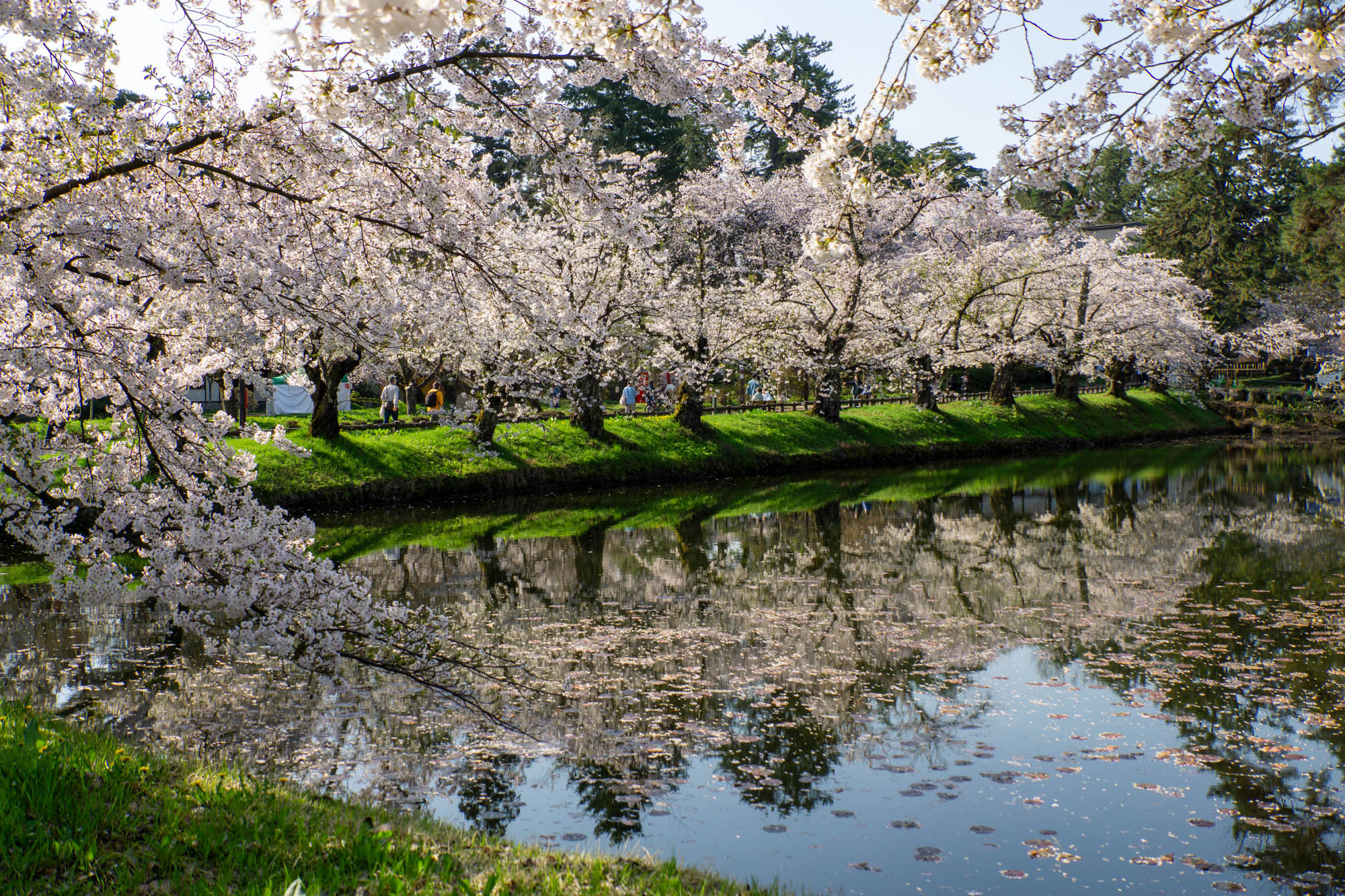 2026年4月19日、内濠