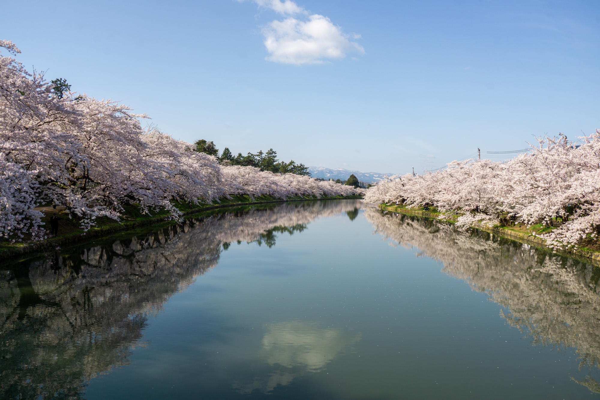 2026年4月19日、西濠