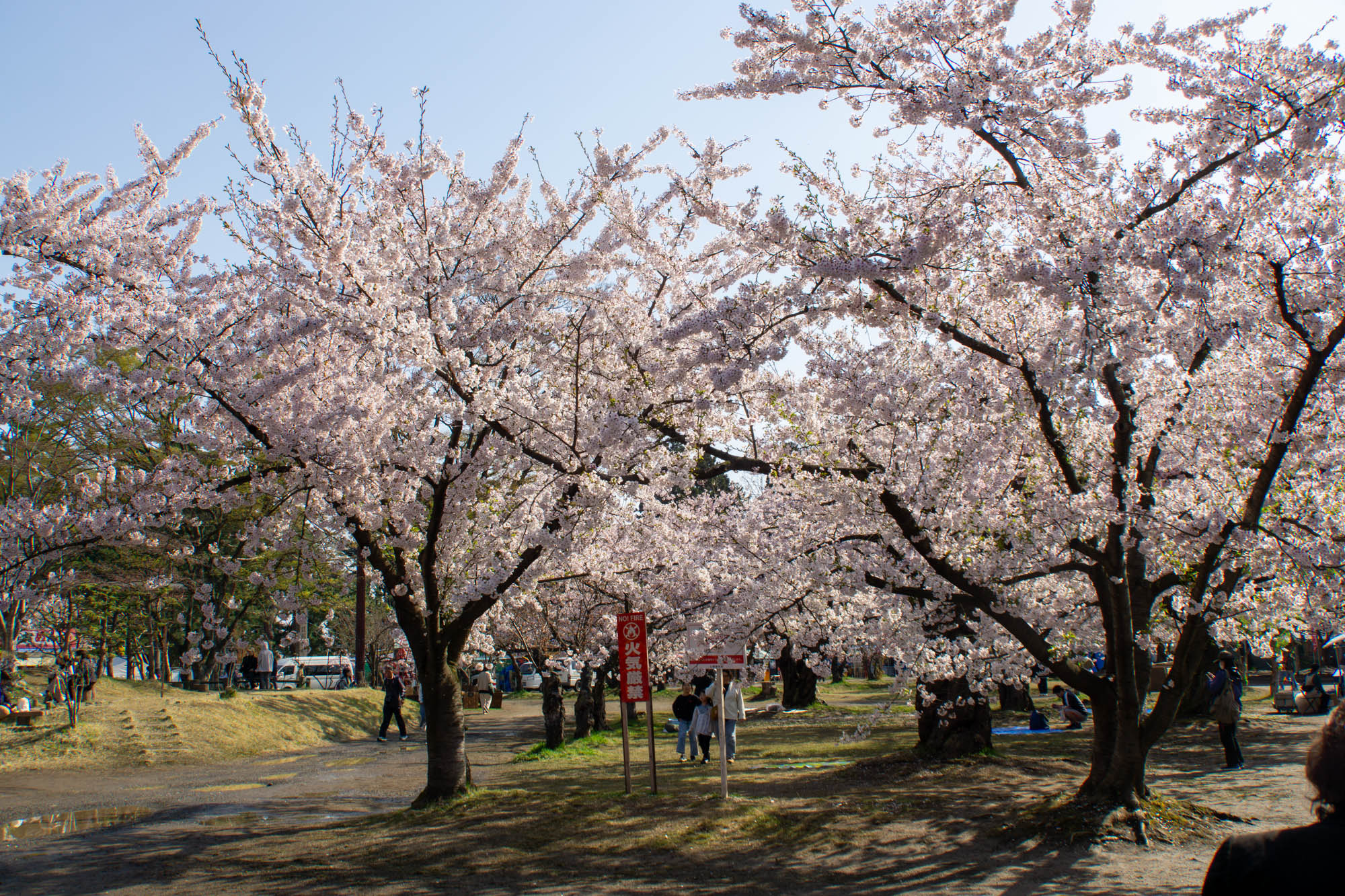 2026年4月19日、四の丸