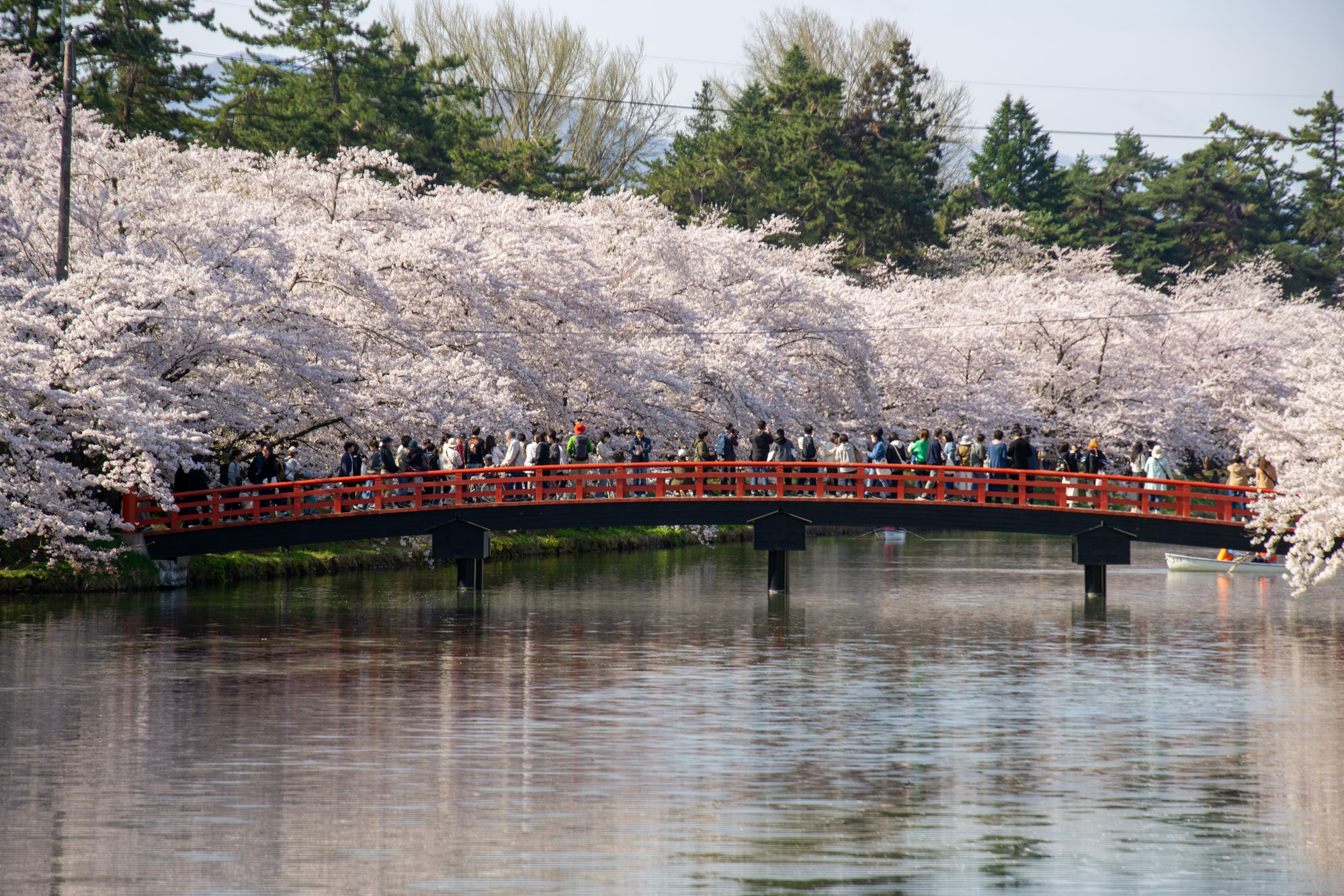2026年4月19日、春陽橋