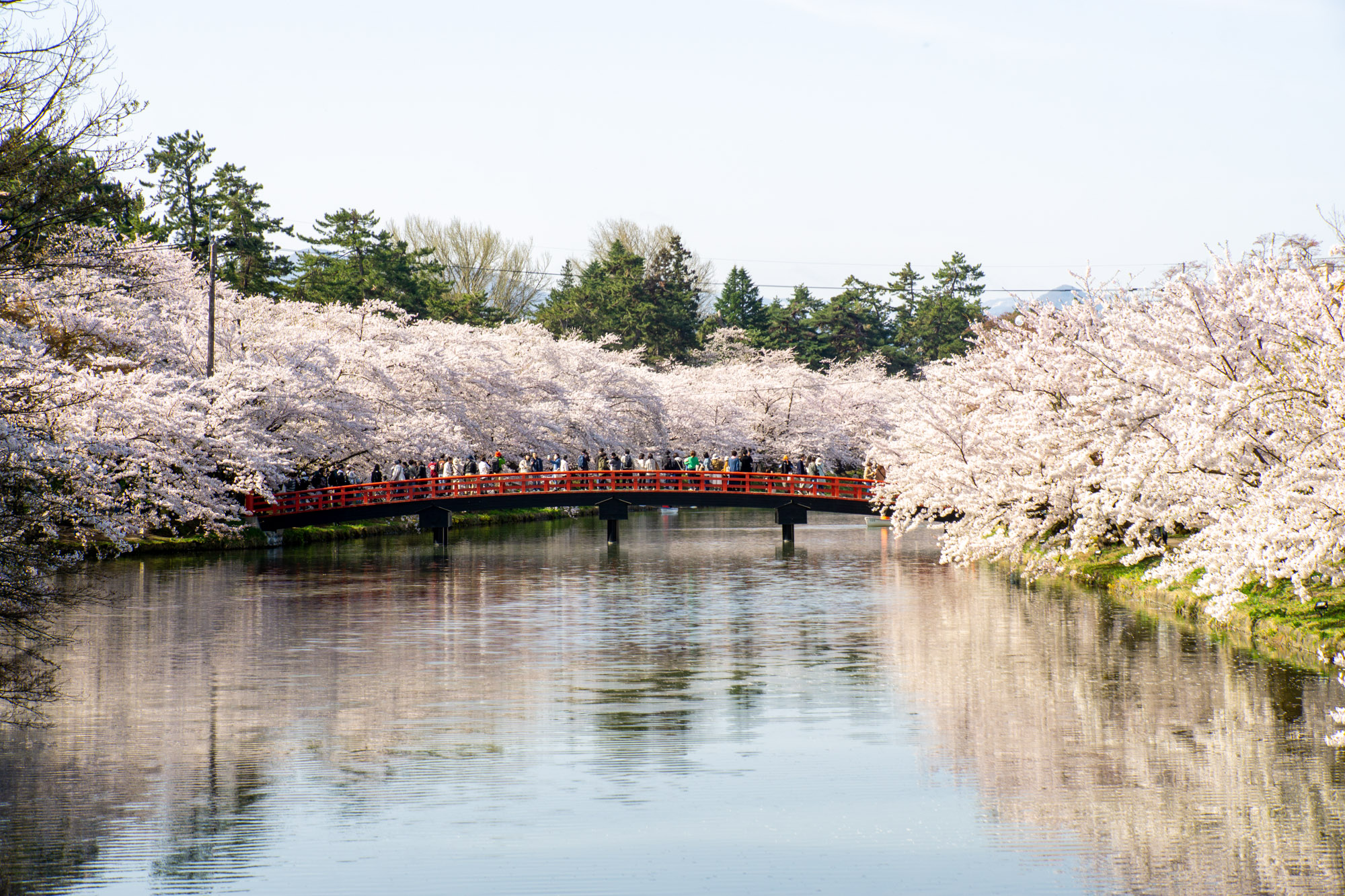 2026年4月19日、春陽橋