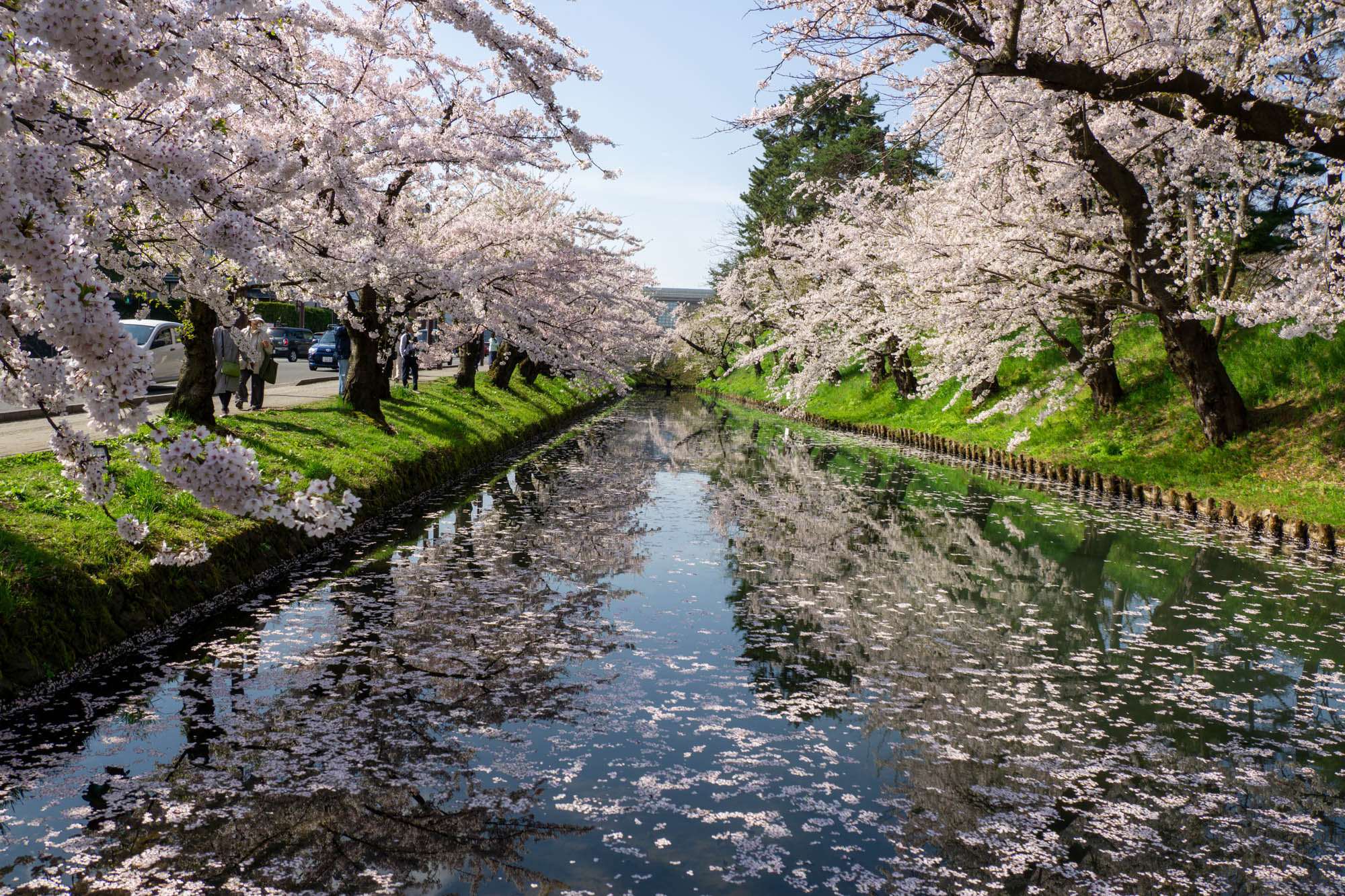 2026年4月19日、外濠（東側）