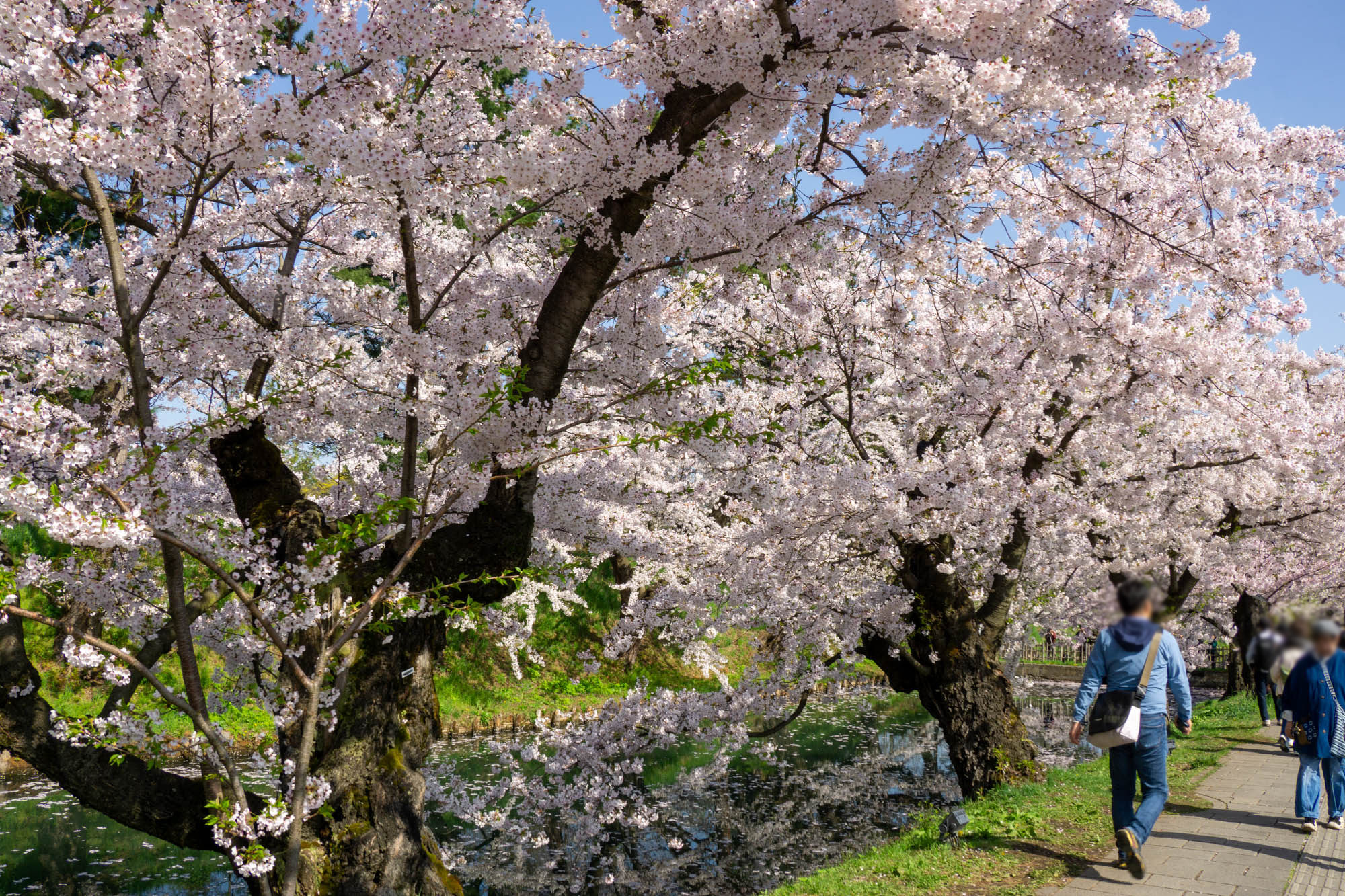 2026年4月19日、外濠（東側）