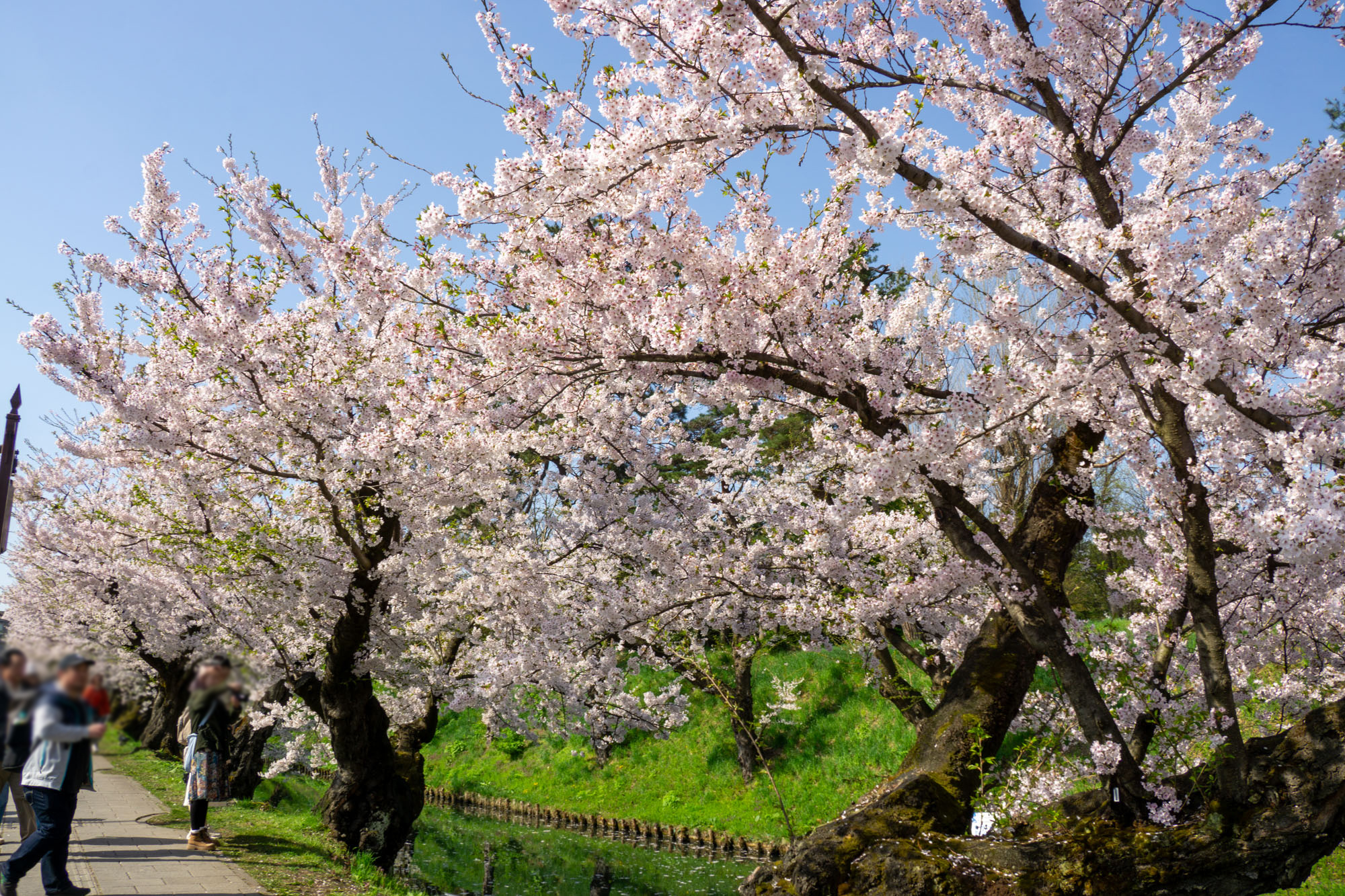 2026年4月19日、外濠（東側）