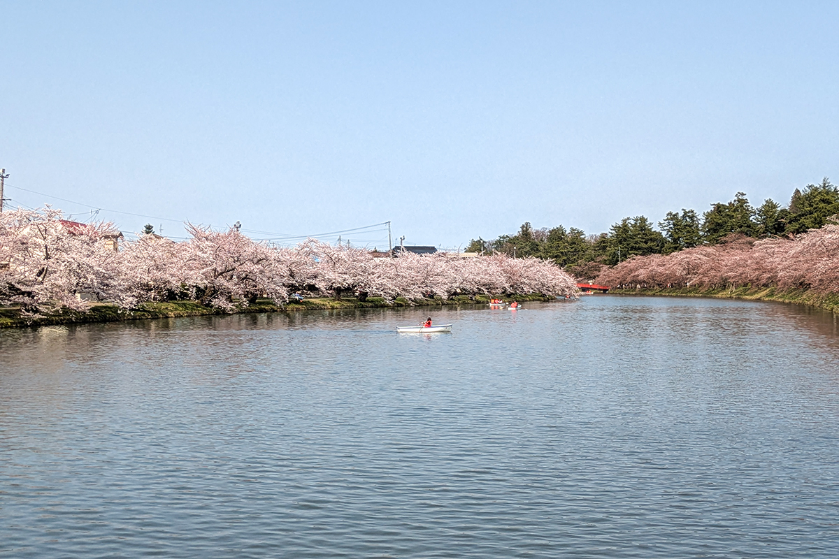 2026年4月14日、弘前公園西濠
