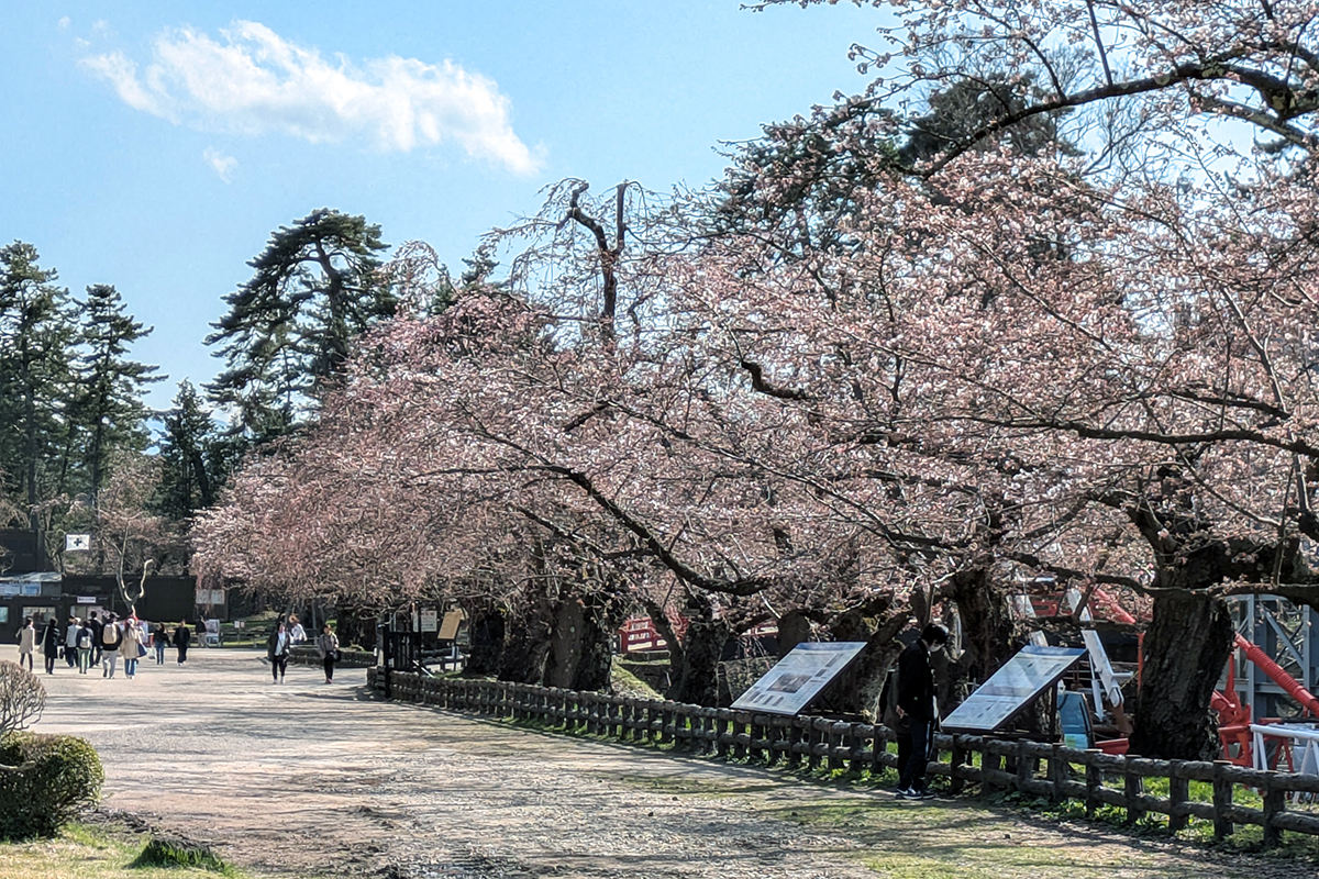 2026年4月13日、弘前公園・二の丸の下乗橋周辺