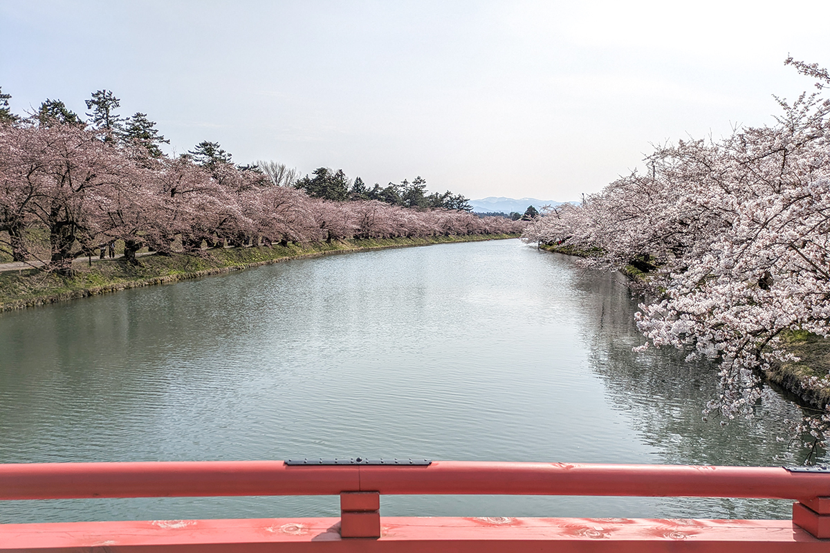 2026年4月14日、弘前公園西濠