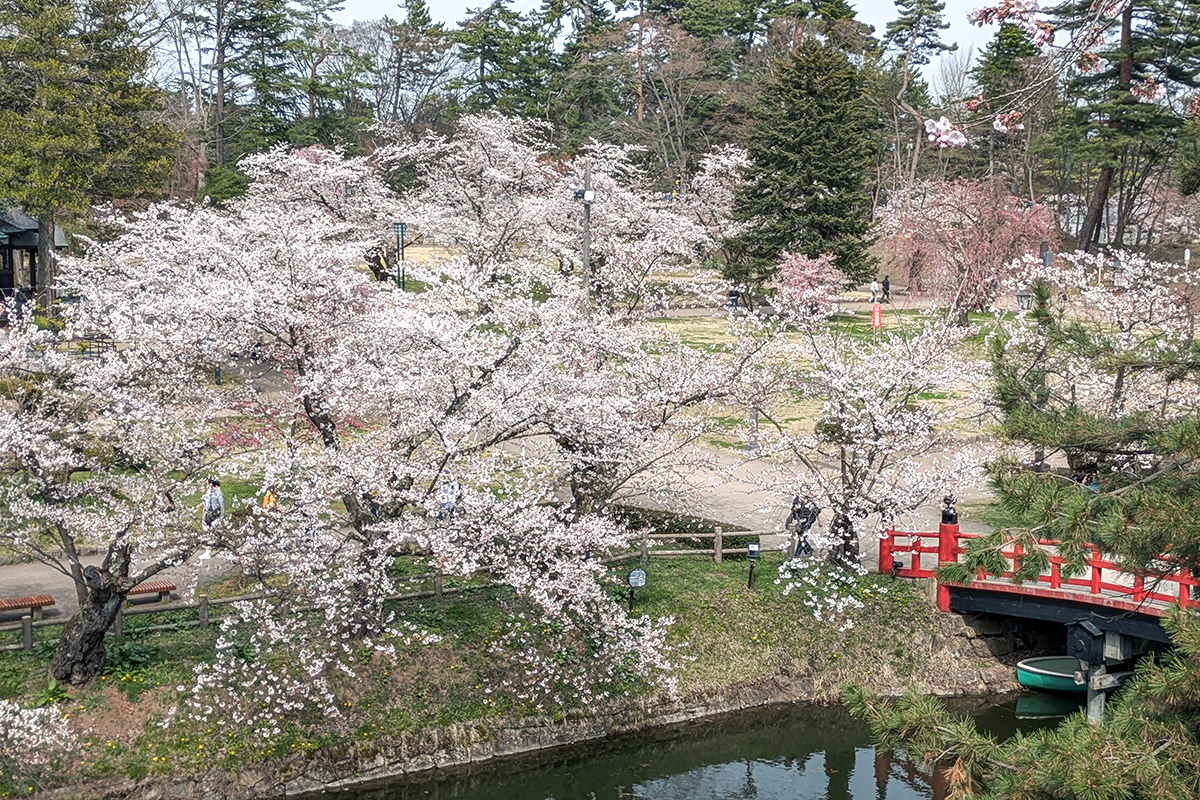 2026年4月15日、弘前公園北の郭
