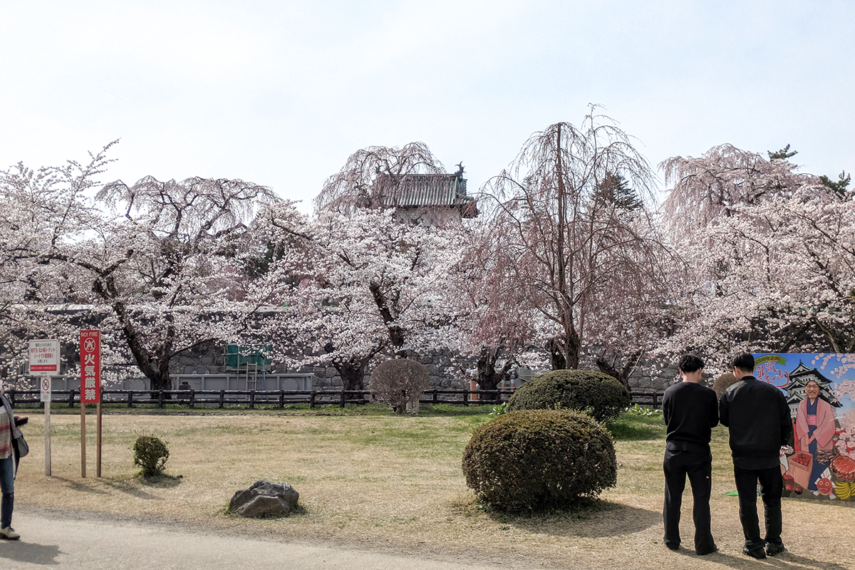 2026年4月15日、弘前公園二の丸・与力番所付近
