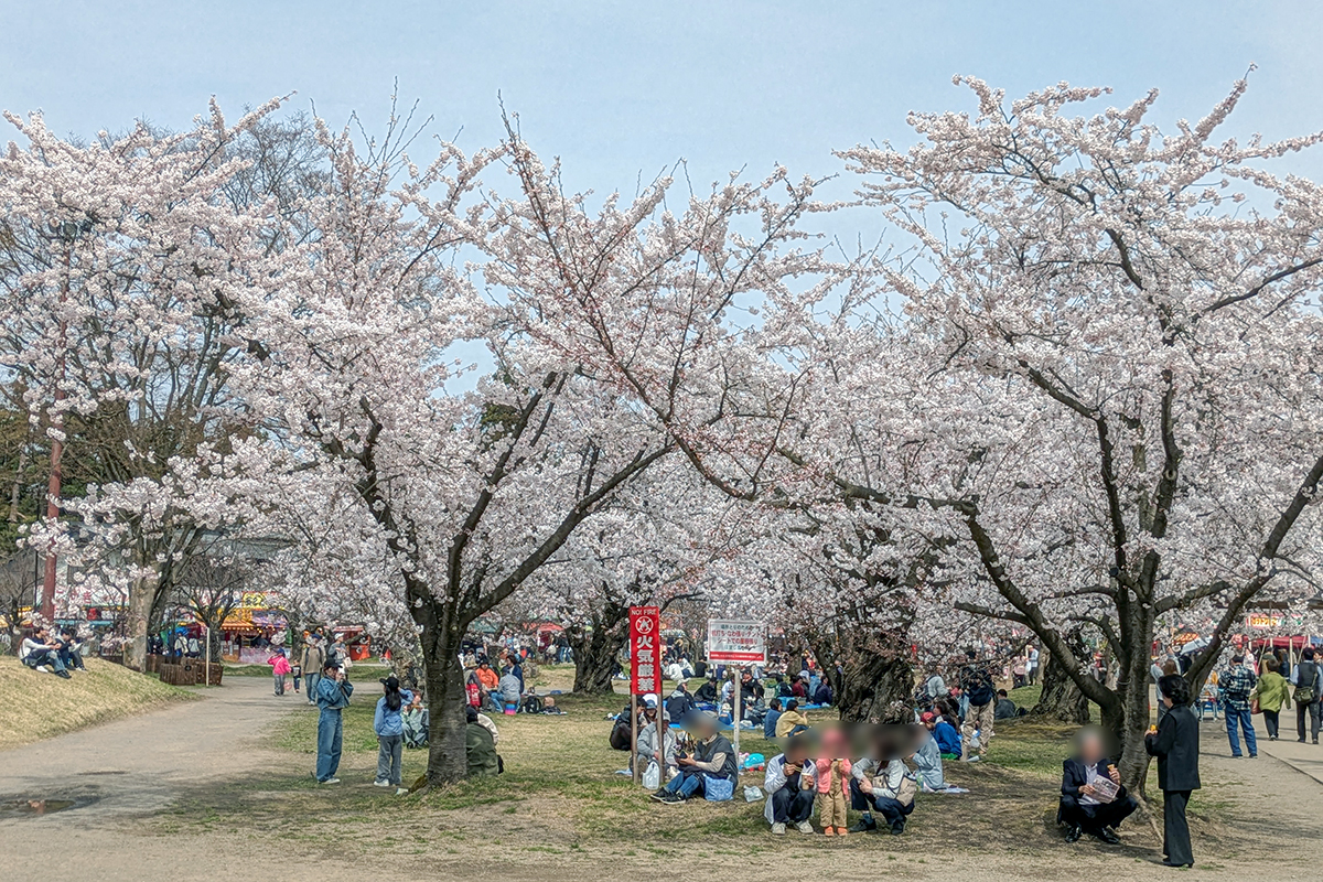 2026年4月15日、弘前公園四の丸