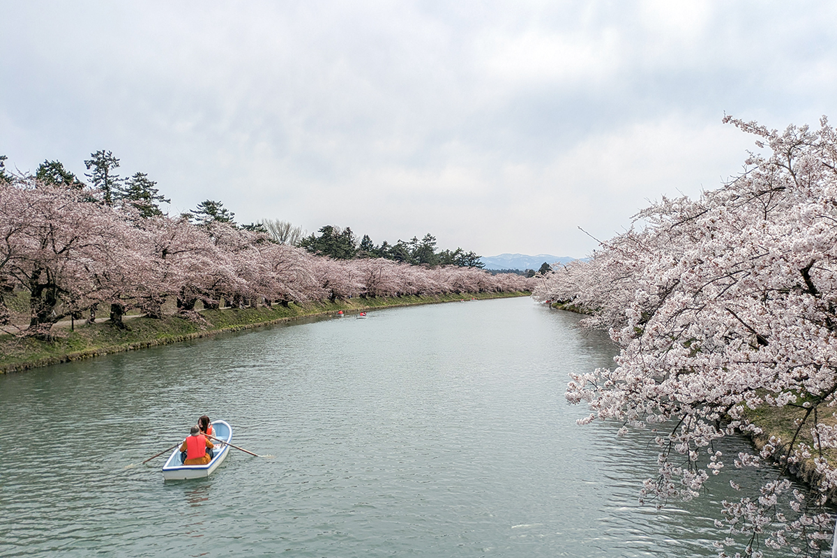 2026年4月15日、弘前公園西濠・春陽橋から