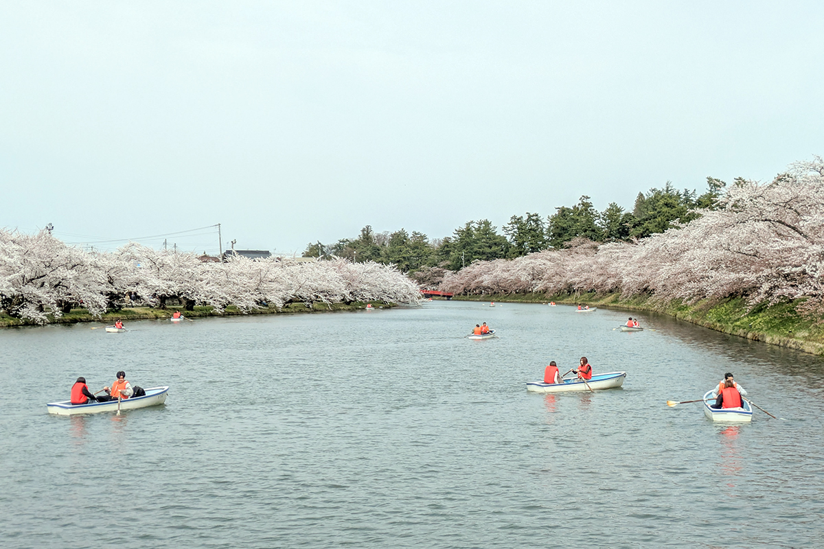 2026年4月15日、弘前公園西濠