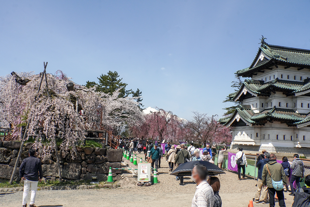 2026年4月17日、弘前公園本丸
