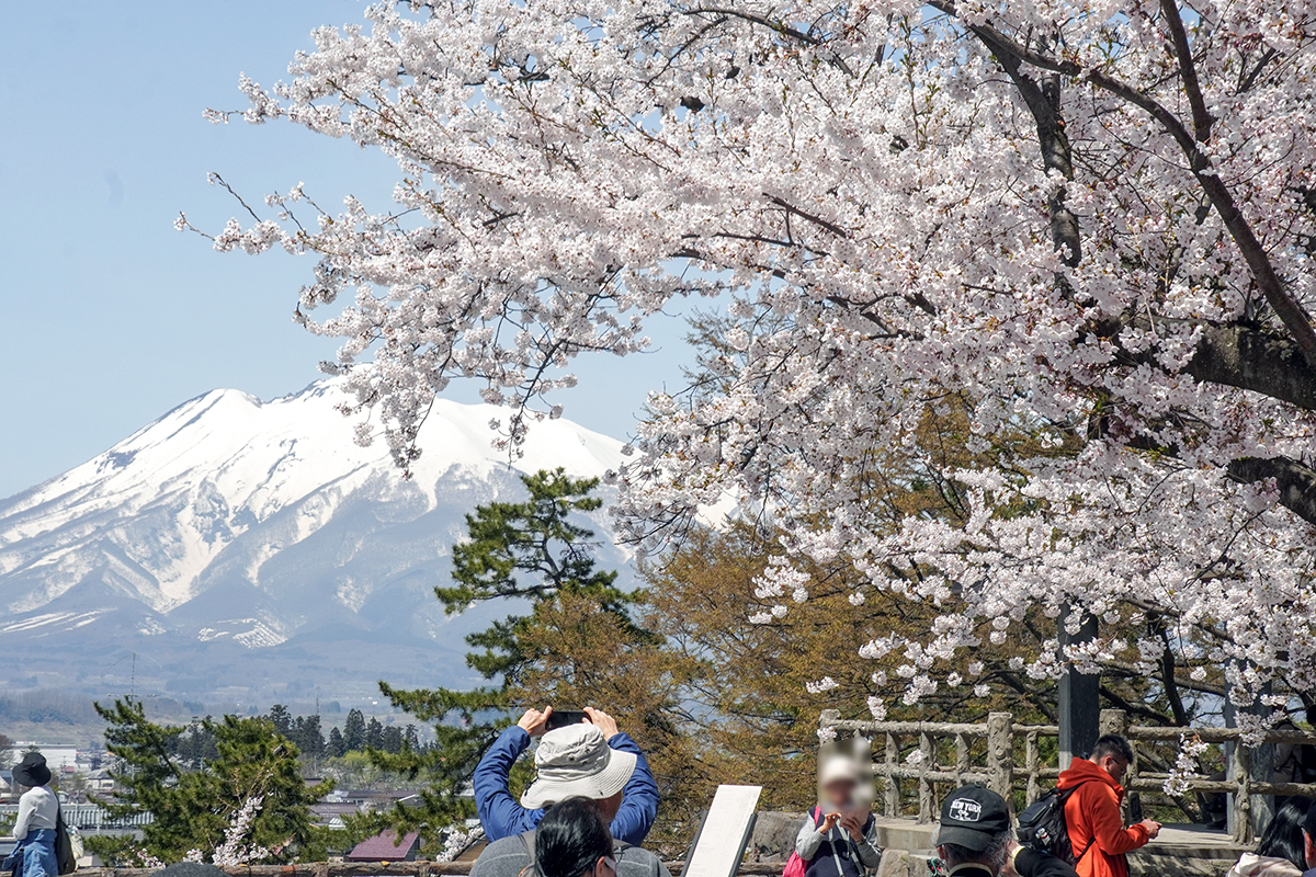 2026年4月17日、弘前公園本丸