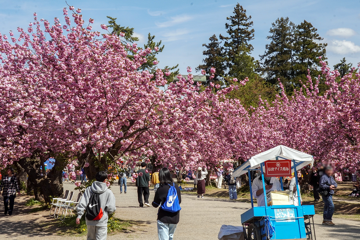 2026年4月30日、弘前公園四の丸
