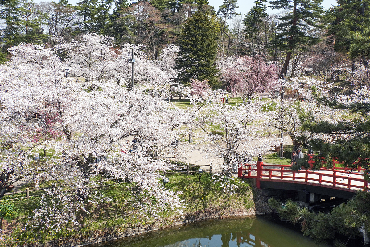 2026年4月17日、弘前公園北の郭