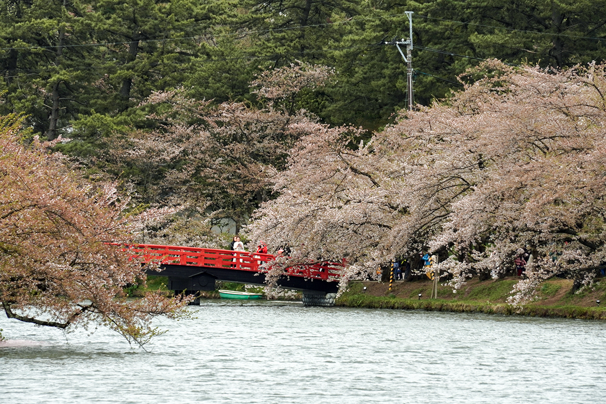 2026年4月22日、弘前公園西濠