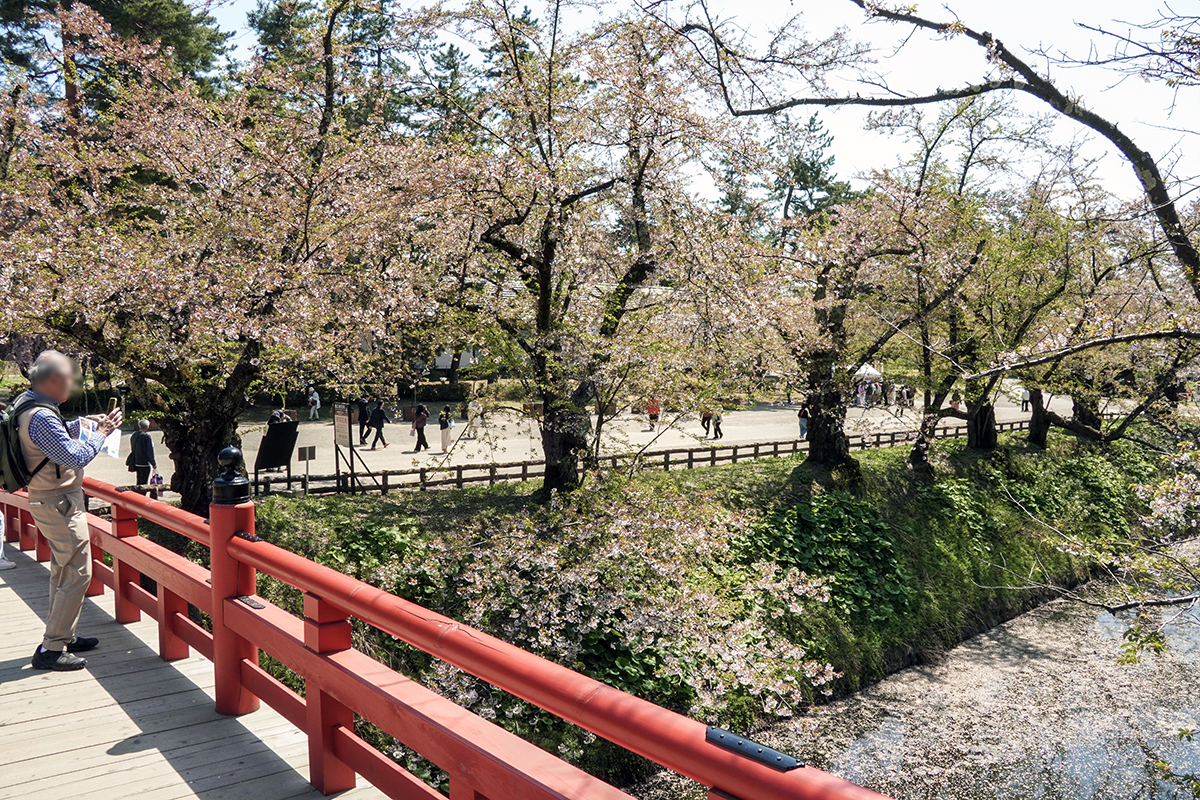 2026年4月24日、弘前公園二の丸・下乗橋から